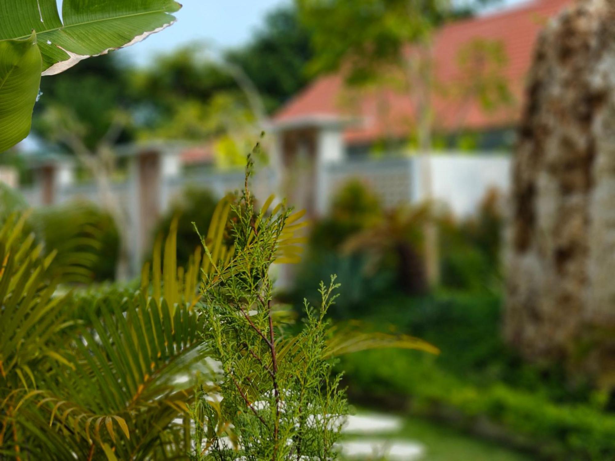 Alam Cottage Uluwatu Exteriér fotografie